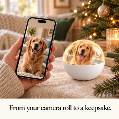 Everglow™ Video Ornament